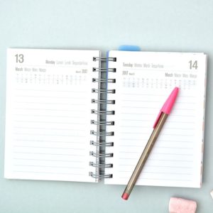 agenda-2017-dia-pagina-amelie